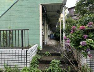 草木が伸びた1階外廊下の入口と階段