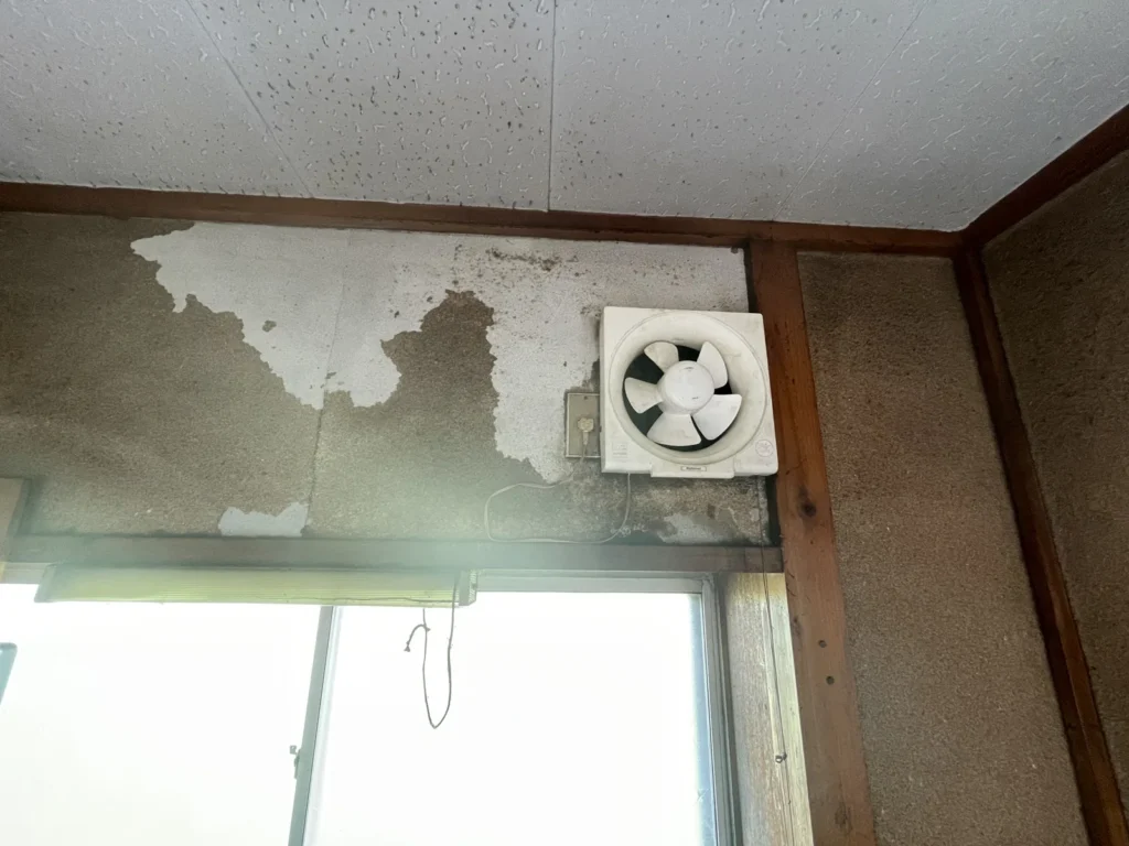 台所の換気扇まわりで壁の仕上げがはがれている
