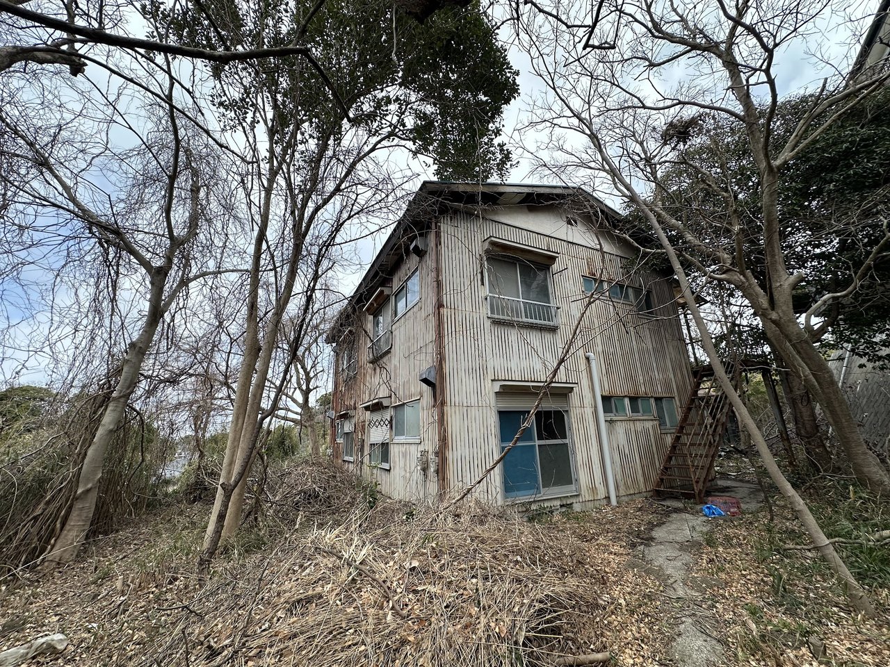 アパートの妻側を覆っていた大木(買取前)