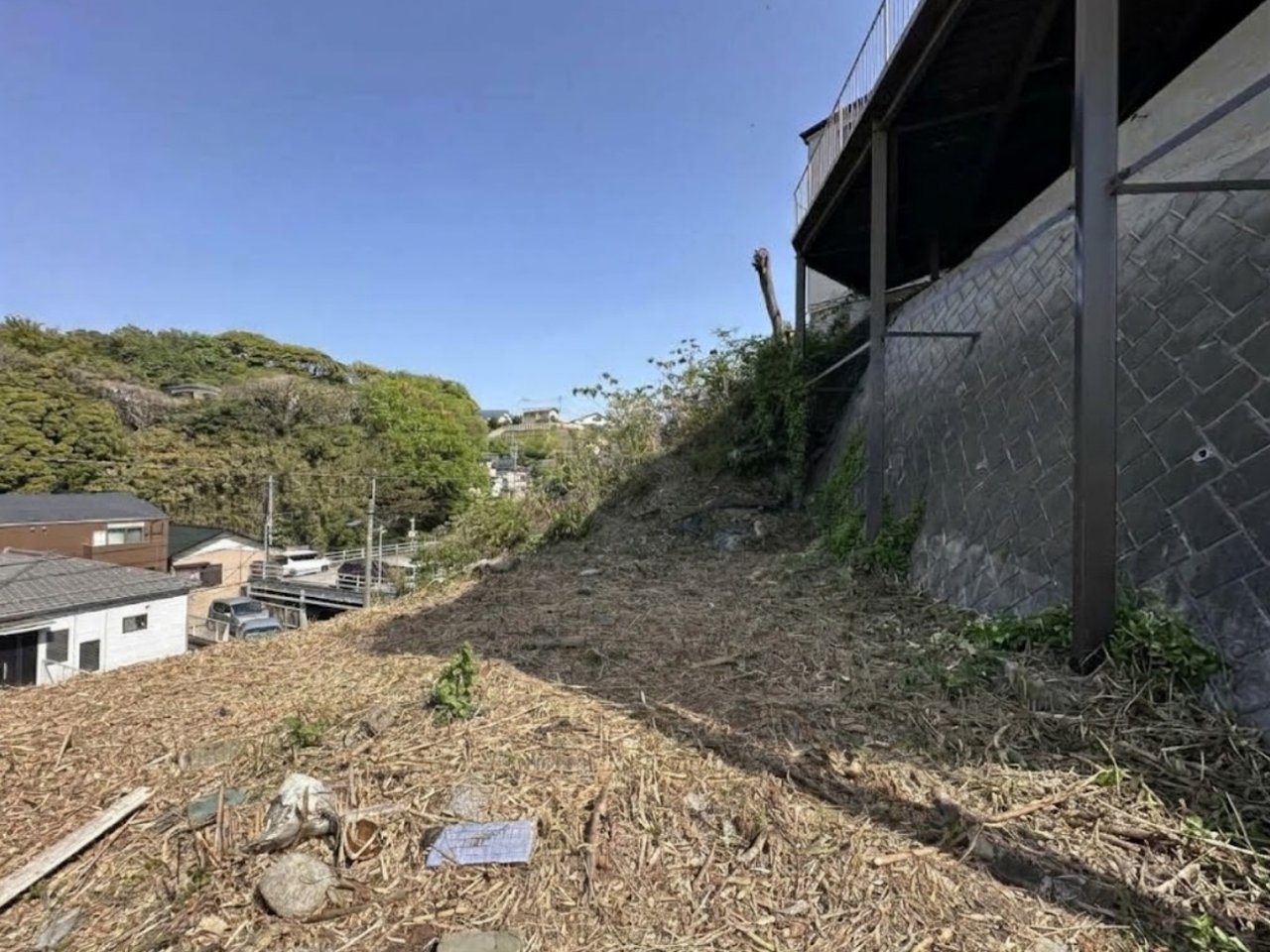 敷地を覆っていた竹林(伐採後)